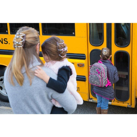 Image of Flexible Butterfly Hair Clip (Stronger Version)--Random Style