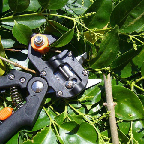 Image of YIIJIAOYUN Garden Grafting Tool Kit